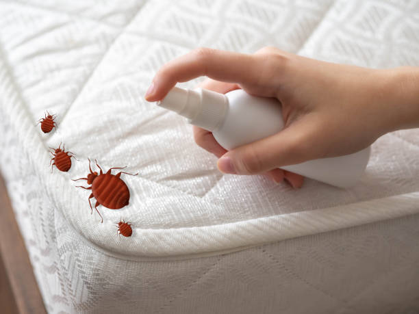 Professional Pest Control in Dyersburg, TN